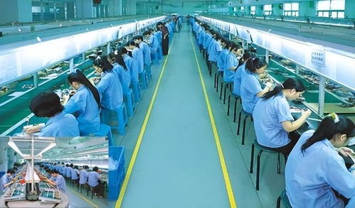 誰搶走了越南訂單？去年超4萬家工廠停工，日媒一句話揭示真相